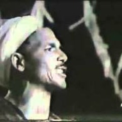 شوقي القناوي-ولا كلّ من