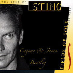 Sting - Fields Of Gold (Cognac & Jones Bootleg)