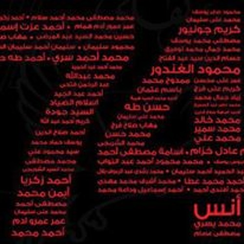 شهداء الاهلى