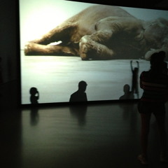 Measure Twice Cut Once