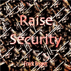 Raise Security (Original Mix)