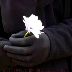 أنا درة مكنونة أنا مؤمنة
