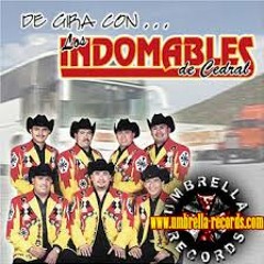 Los Indomables De Cedral - Huapango De Juanito