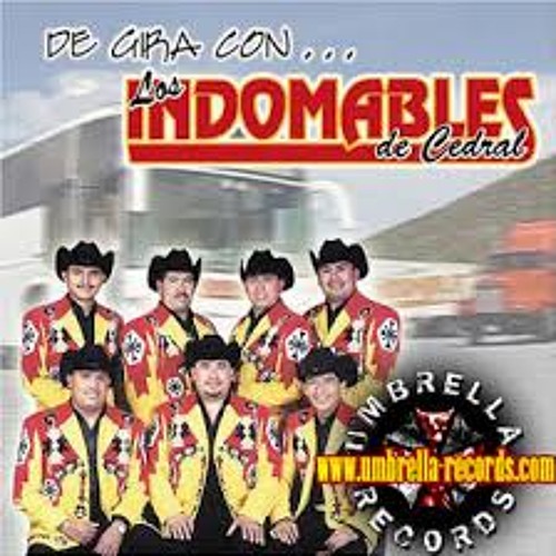 Los Indomables De Cedral - Huapango De Juanito