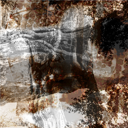 Noise'nDrone