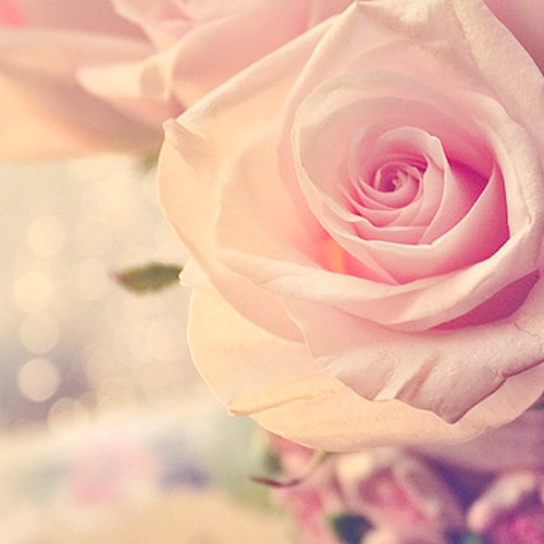 ~| هُو الله لن يتخلى عنكَ ابدًا...لانهُ يحبكْ |~