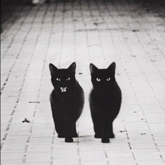 Lissat & Voltaxx -  Closer to Me (Andrey Exx & Fomichev Remix)