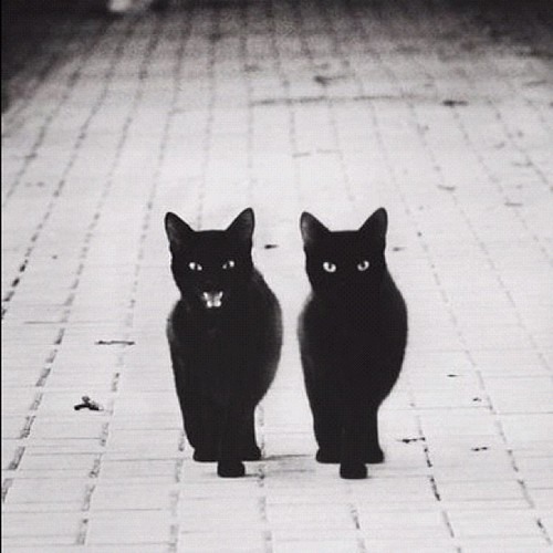 Lissat & Voltaxx -  Closer to Me (Andrey Exx & Fomichev Remix)