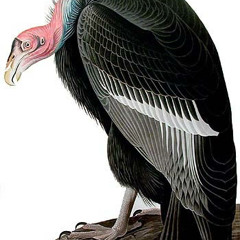 90's Vulture *Full Mixtape*