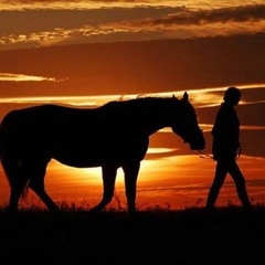 Конь (The horse) - Katriell