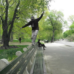 A Walk In The Park