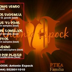 2 Somos Evidencia (p.s) UN AÑO UN LUSTRO