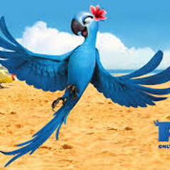 Rio 2 - What Is Love