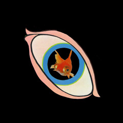 thewisegoldfish v's creedence clearwater revival - L.S.D. [green river]