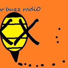 Digital Kashmir live on New Buzz Radio (DJ Set)