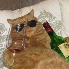 Weekend Warriors