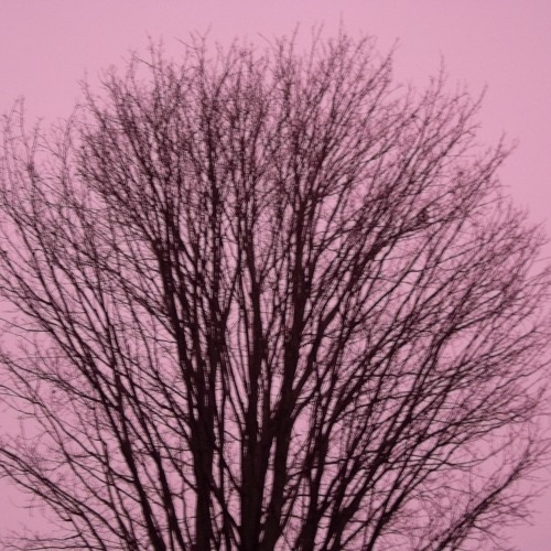 Radio Free Stanstead | February 1 2014 | Proud of our roots