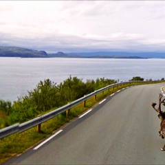 Dans la cuisine · FRRAP PILOTE