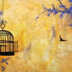 Free Bird (Skynyrd with a twist)