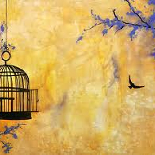 Free Bird (Skynyrd with a twist)