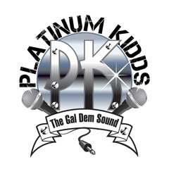 PLATINUM KIDZ VALENTINES DAY LOVERS AND FRIENDS MIX 2K14
