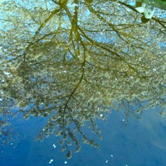 tr5-Night of 1000 mayonnaise（午前4時の羽）/liftman