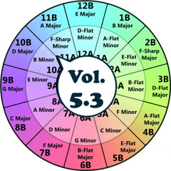 Vol. 5.3 Harmonic Mixing Study, "Psy-Trance" (Guitar Interruptus Mix) Feb. 2nd 2014