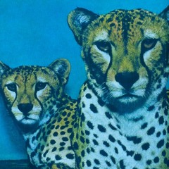 Fuck you I aint done yet