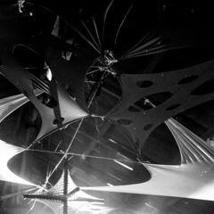 Tribe live Akash Zygomatik
