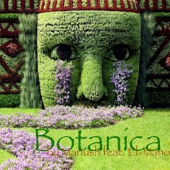 Mariush & El-Mano - Botanica (raw version)
