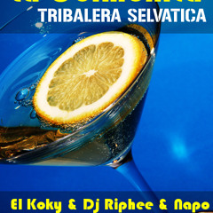 Dj Riphee & Napo Ft KokyFlow - La Colmenita (Tribalera Selvática 2014)