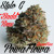 Artwork for STYLO-G -POWAFLOWA- RAGGASTEP RMX