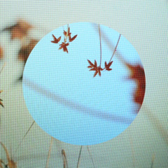 Naiupoche - Sicilapsus [promo]