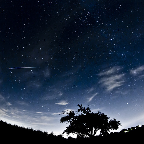 The Stars Are Falling
