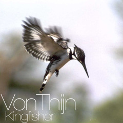 Von Thijn | Kingfisher