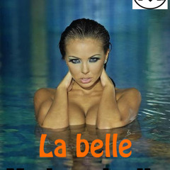 Mr Vik- La Belle Mademoiselle