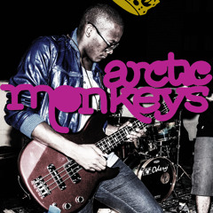 Arctic Monkeys - From The Ritz To The Rubble [BassCover]