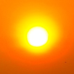 Friends aren't what they seem