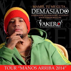 Vakero - Demasiado