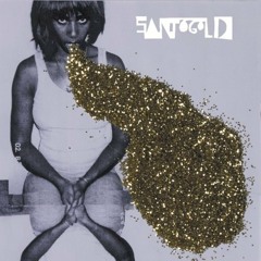 Santigold - Your voice