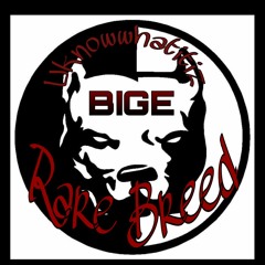 "Rare Breed" *BIGE*