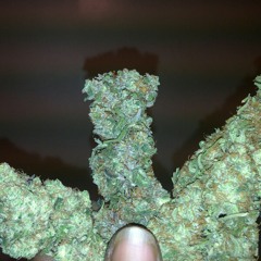 Higher: Da Champ Ft. POURED INK