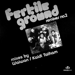 Fertile Ground - Take Me Higher (Waiwan Remix)