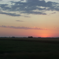 MAMINA  -  ALQUIMIA CUYANA 2014