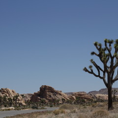 Destiny's Call - Hans Zimmer ~ Bleeding Fingers Contest