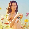 Dark Horse - Katy Perry ft. Juicy J