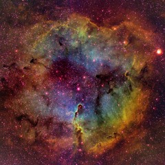 Polarity (Work In Progress)