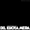 Dil Khoya Mera - Shivai Vyas