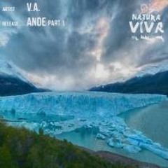 [NATURA VIVA] Fabio Macor -The Quiet Man