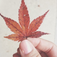 이산 (Yi san- Ost) Promise